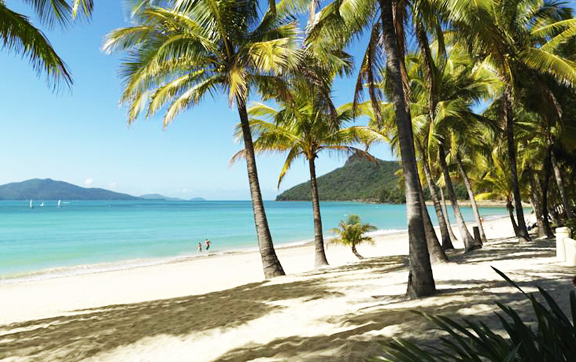 hamilton-island-beach-club-resort-beach