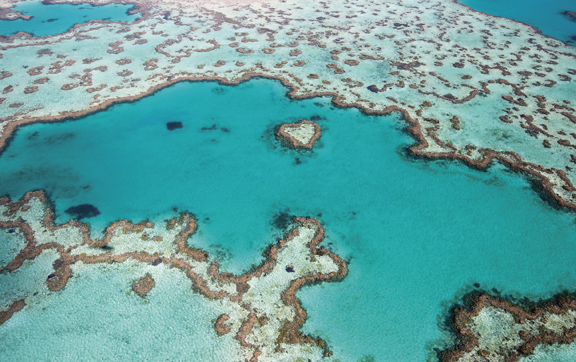 Heart Reef in the Great Barrier Reef. Image Credit: Tourism Australia