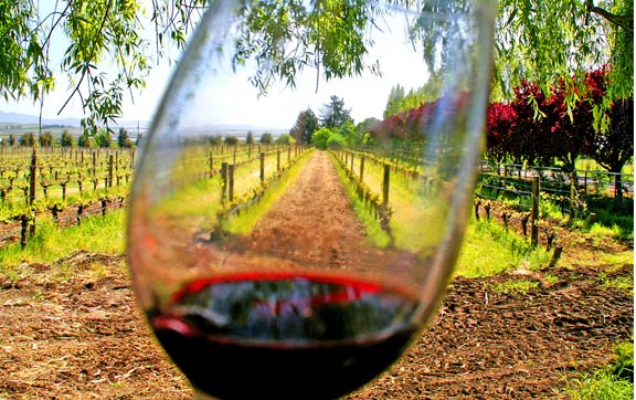 Best Wineries In The World