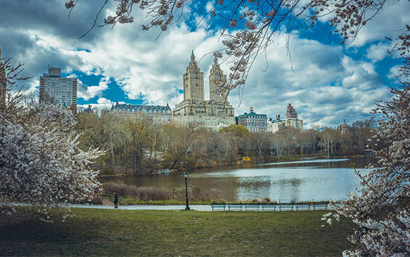 Central Park NYC