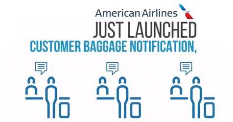 aa baggage information