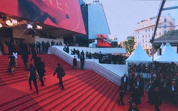 Red Carpet - Cannes Film Festival