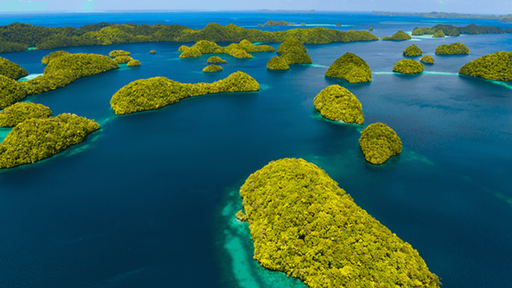 Qantas to Palau Business Class thumbnail 3