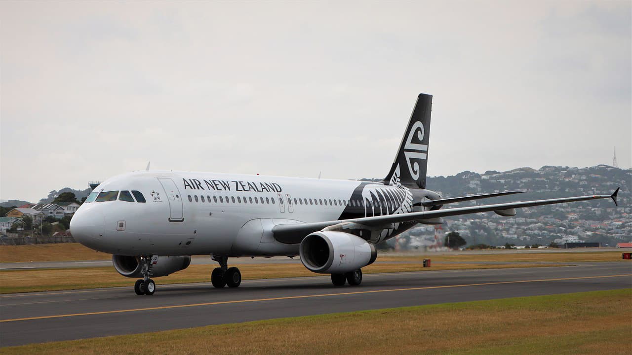 Air New Zealand to USA and Canada Business Class - Image 1