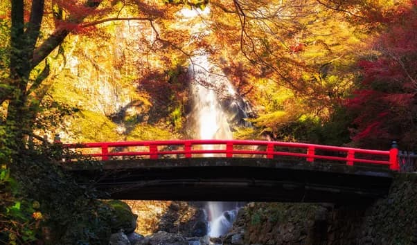 All Nippon Airways Business Class to North America - Image 1