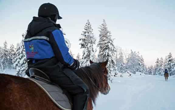 horse-riding-and-sleigh-rides