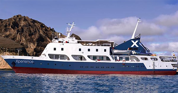 Celebrity Xperience (Image: Celebrity Cruises) Celebrity Xperience
