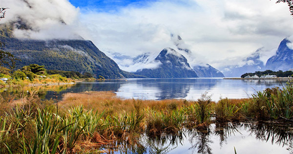 Record number of New Zealand cruisers (photo: Colleen McDaniel) New Zealand cruising
